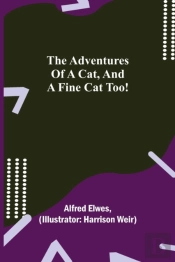 The Adventures Of A Cat, And A Fine Cat Too!