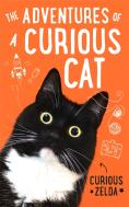 The Adventures Of A Curious Cat