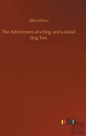 The Adventures Of A Dog, And A Good Dog Too