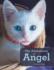 The Adventures Of Angel