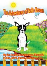 The Adventures Of Bebo