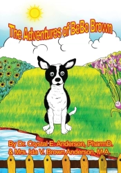 The Adventures Of Bebo