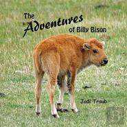 The Adventures Of Billy Bison