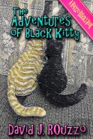 The Adventures Of Black Kitty