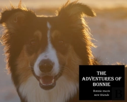 Bertrand.pt - The Adventures Of Bonnie