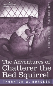 The Adventures Of Chatterer The Red Squirrel
