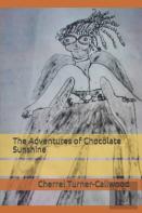 The Adventures Of Chocolate Sunshine