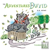 The Adventures Of David