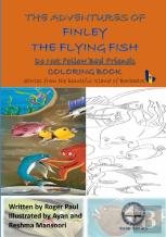 The Adventures Of Finley The Flying Fish