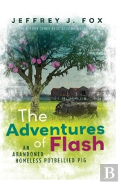 The Adventures Of Flash