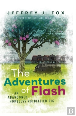 Bertrand.pt - The Adventures Of Flash