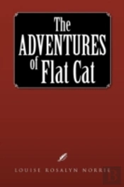 The Adventures Of Flat Cat