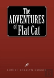 The Adventures Of Flat Cat