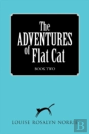 The Adventures Of Flat Cat