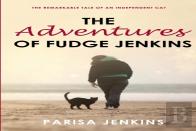 The Adventures Of Fudge Jenkins