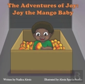 The Adventures Of Joy