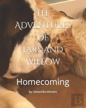 The Adventures Of Lars And Willow
