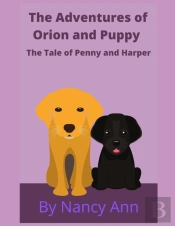 The Adventures Of Orion And Puppy
