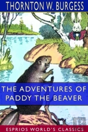 The Adventures Of Paddy The Beaver (Esprios Classics)