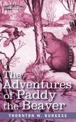 The Adventures Of Paddy The Beaver