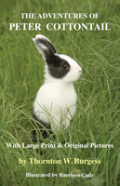 The Adventures Of Peter Cottontail