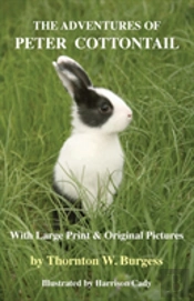 The Adventures Of Peter Cottontail