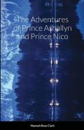 The Adventures Of Prince Ashallyn And Prince Nico