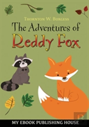The Adventures Of Reddy Fox
