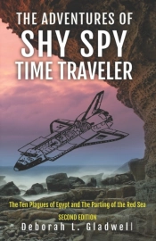 The Adventures Of Shy Spy Time Traveler