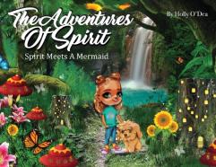 The Adventures Of Spirit