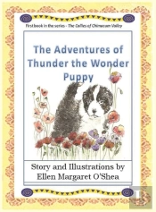 The Adventures Of Thunder The Wonder Puppy
