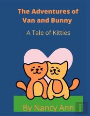 The Adventures Of Van And Bunny