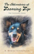 The Adventures Of Zooming Zip