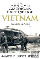 The African American Experience In Vietnam