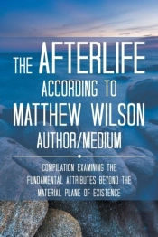 The Afterlife According To Matthew Wilson Author/Medium