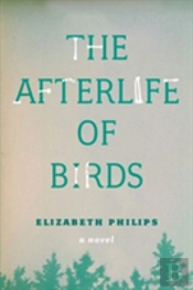 The Afterlife Of Birds