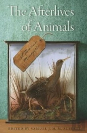 The Afterlives Of Animals