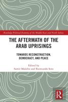 The Aftermath Of The Arab Uprisings