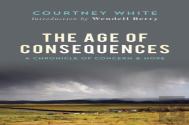 The Age Of Consequences