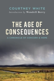 The Age Of Consequences