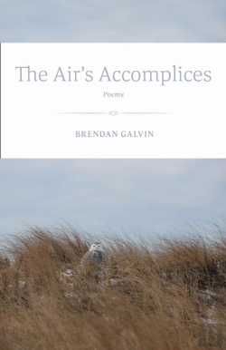 Bertrand.pt - The Air'S Accomplices