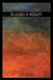 The Algebra Of Inequality
