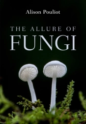 The Allure Of Fungi