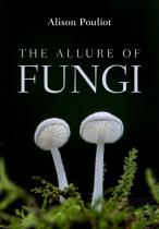 The Allure Of Fungi