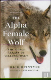 The Alpha Female Wolf