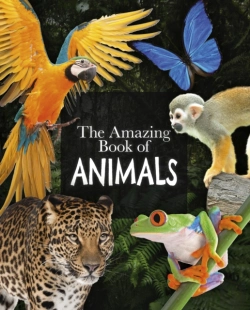 Bertrand.pt - The Amazing Book Of Animals