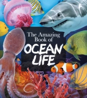 The Amazing Book Of Ocean Life