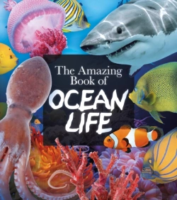 Bertrand.pt - The Amazing Book Of Ocean Life