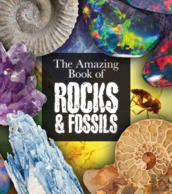 Bertrand.pt - The Amazing Book Of Rocks And Fossils