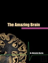 The Amazing Brain